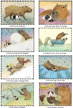 four different pictures of beavers in the snow