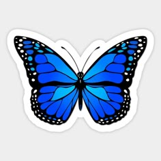 a blue butterfly with white dots on it's wings