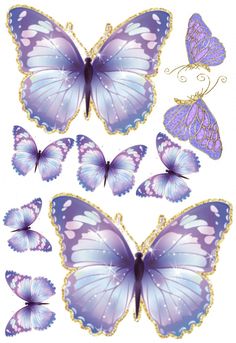 several purple butterflies with white and blue wings