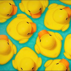 many yellow rubber ducks floating in the water