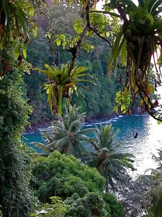 the water is crystal blue and surrounded by lush green trees on both sides of the river