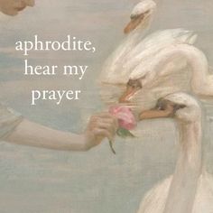 a painting of two swans touching each other's hands with the words, aphrodite, hear my prayer