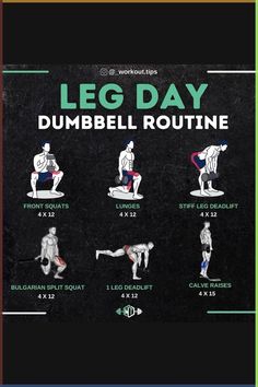 a poster with instructions on how to do the leg day dumbbell routine for beginners