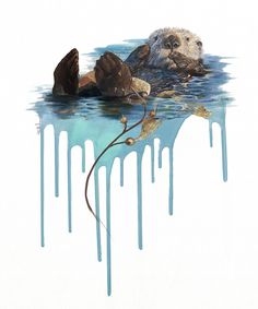 Acrylic painting of Californian sea otter. A realistic painting, with the water dripping down the page. Watercolour Otter, Sea Otter Illustration, Sea Otter Tattoo, Wildlife Artwork