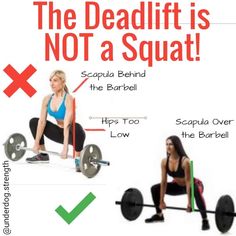 the deadlift is not a squat