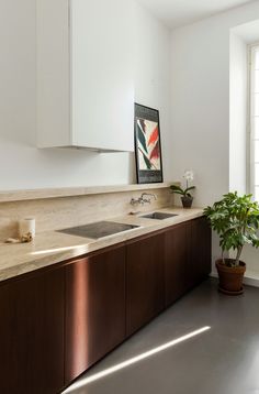 a kitchen with white walls and wooden cabinets, a potted plant on the counter