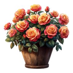 an oil painting of orange roses in a wooden basket with green leaves on white background