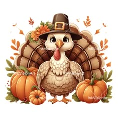 a turkey wearing a pilgrim hat surrounded by pumpkins and gourds on a white background