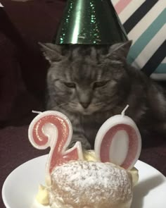 a cat is sitting next to a birthday cake