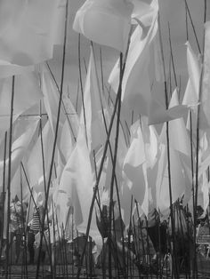 black and white photograph of flags blowing in the wind