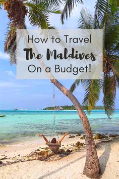 a hammock hanging from a palm tree on the beach with text overlay how to travel the maldives on a budget