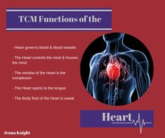 Functions of the Heart according to TCM Holistic Therapies, Chinese Herbs