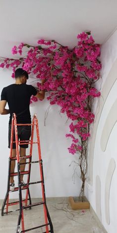 a man on a ladder painting a wall with pink flowers in the corner and behind him is a tree that looks like it's blooming