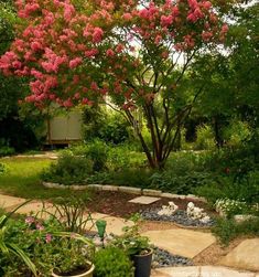 the garden is full of flowers and plants