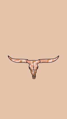 an animal's skull with long horns on a tan background