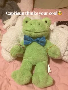 a green stuffed frog laying on top of a bed with the caption capsun thinks your cool