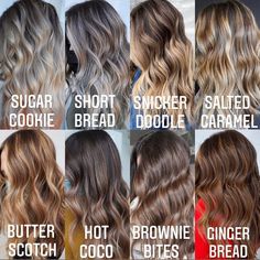 Balayage Hair Videos, Hot Brownie, Cosmetology Career, Snicker Doodle, Brunette Roots, Root Melt, Butter Scotch, Dimensional Brunette, Short Bread