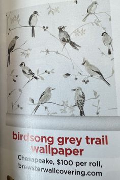 an advertisement for bird song grey trail wallpaper