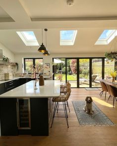 a dog sitting in the middle of a kitchen with an open floor plan and skylights