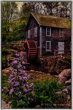 an old house in the woods with purple flowers and rocks around it, next to a water wheel