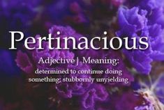 the words perfinaciousus are written in white on purple and black with flowers