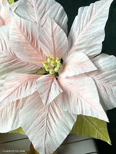 a large white flower with green leaves on it