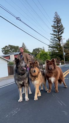 three dogs are standing in the middle of the road while a man is walking behind them