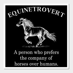 a black and white poster with the words equinnetrovertt, a person who prefers the company of horses over humans