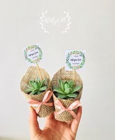 two small succulents are wrapped in burlock and tied with pink ribbon