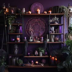 a shelf filled with candles and plants in front of a purple wall