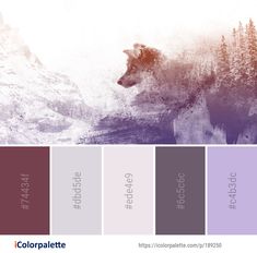 an image of a wolf in the mountains with colors that are purple, red and blue