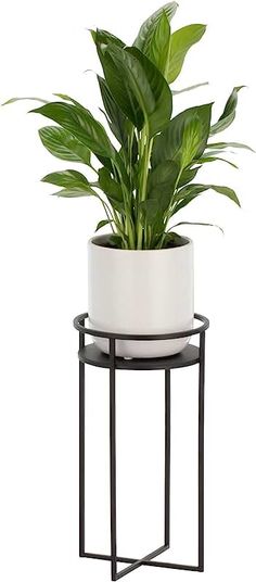 a potted plant sitting on top of a metal stand