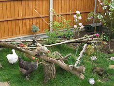 chickens and roosters are standing in the grass near a tree branch that has been cut down