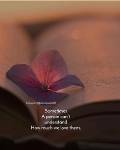 an open book with a purple flower on it and a quote about sometimes, a person can't understand how much we love them