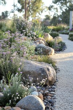 a gravel path with rocks and plants in the foreground, surrounded by large boulders