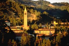 a tall clock tower towering over a small town in the middle of a forested area