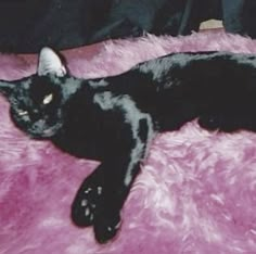 a black cat laying on top of a pink blanket