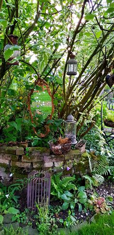 a garden with lots of plants and trees