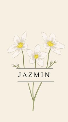 three white flowers with the word jazmin on it