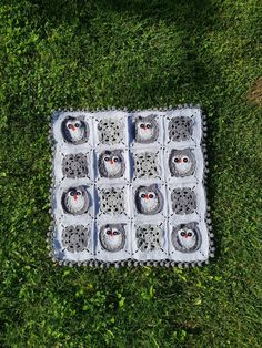 an image of two owls in the middle of a square pattern on some green grass