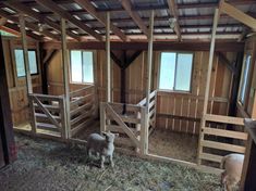 two sheep standing inside of a barn with wooden stalls and bales on the floor