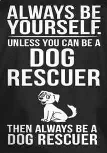 a black and white photo with the words, always be yourself unless you can be a dog rescuer