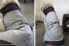 two pictures of a dog wearing a coat