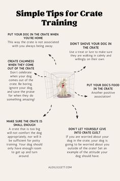 Simple Tips for Crate Training Crate Train, Train Your Dog, Crate Training, How To Train, How To Train Your, Training Tips, Easy Steps, Dog Training, Puppies