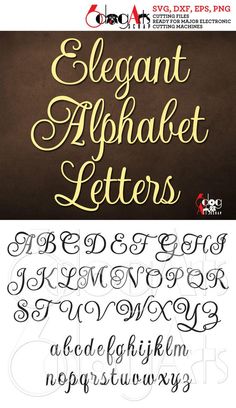 some type of lettering that is gold and black with the words elegant alphabet letters on it