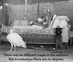 there may be different stages in the sadhanana but in reality there are no degrees degrees