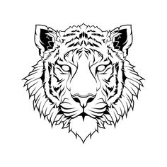 Tiger Line Vector Art, Icons, and Graphics for Free Download