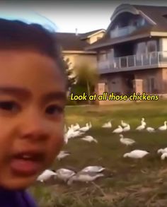 a young boy standing in front of a flock of white birds next to a house