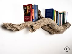 a book shelf made out of driftwood with books on it