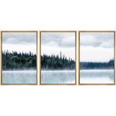 three framed pictures with trees in the background and fog on the water behind them, hanging on a wall